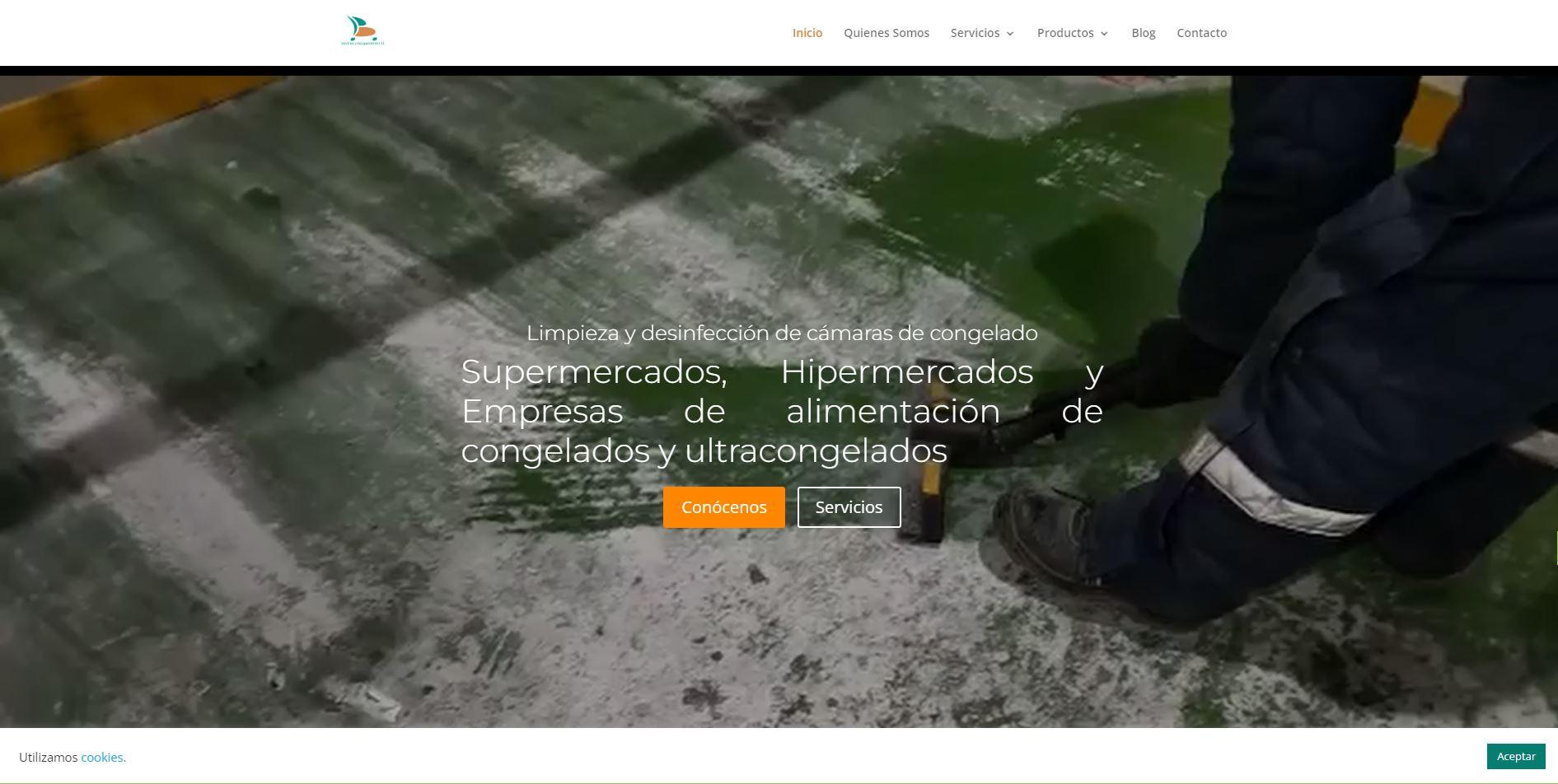 Captura del proyecto Servi