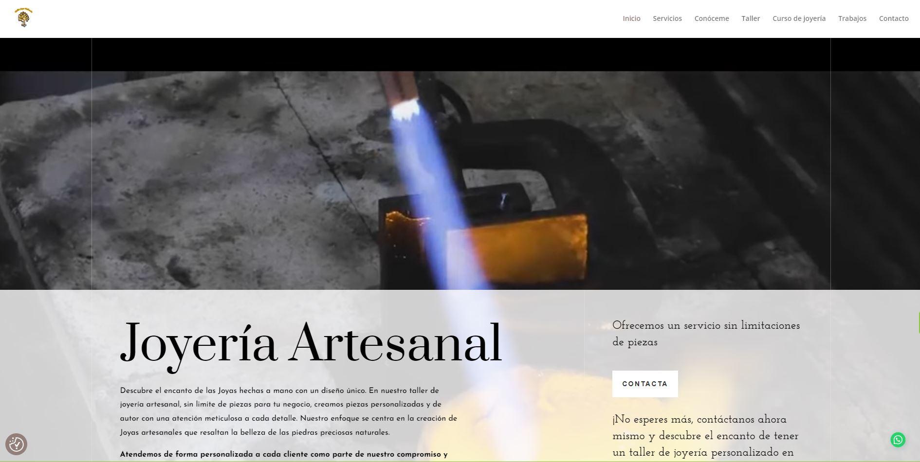 Proyecto de Taller Joya